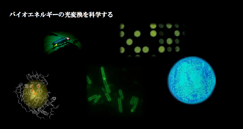 トップ.png