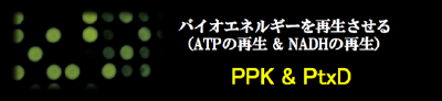 スクリーンショット 2012-02-22 15.00.02.png