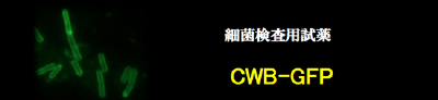 スクリーンショット 2012-02-22 15.00.40.png